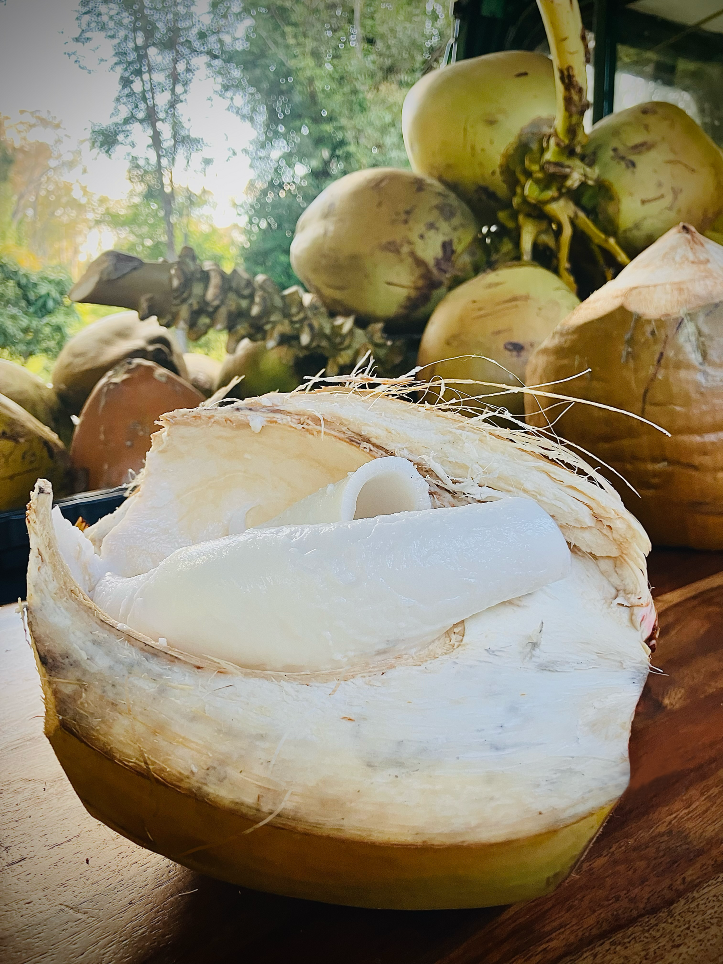 Sweet Coconut