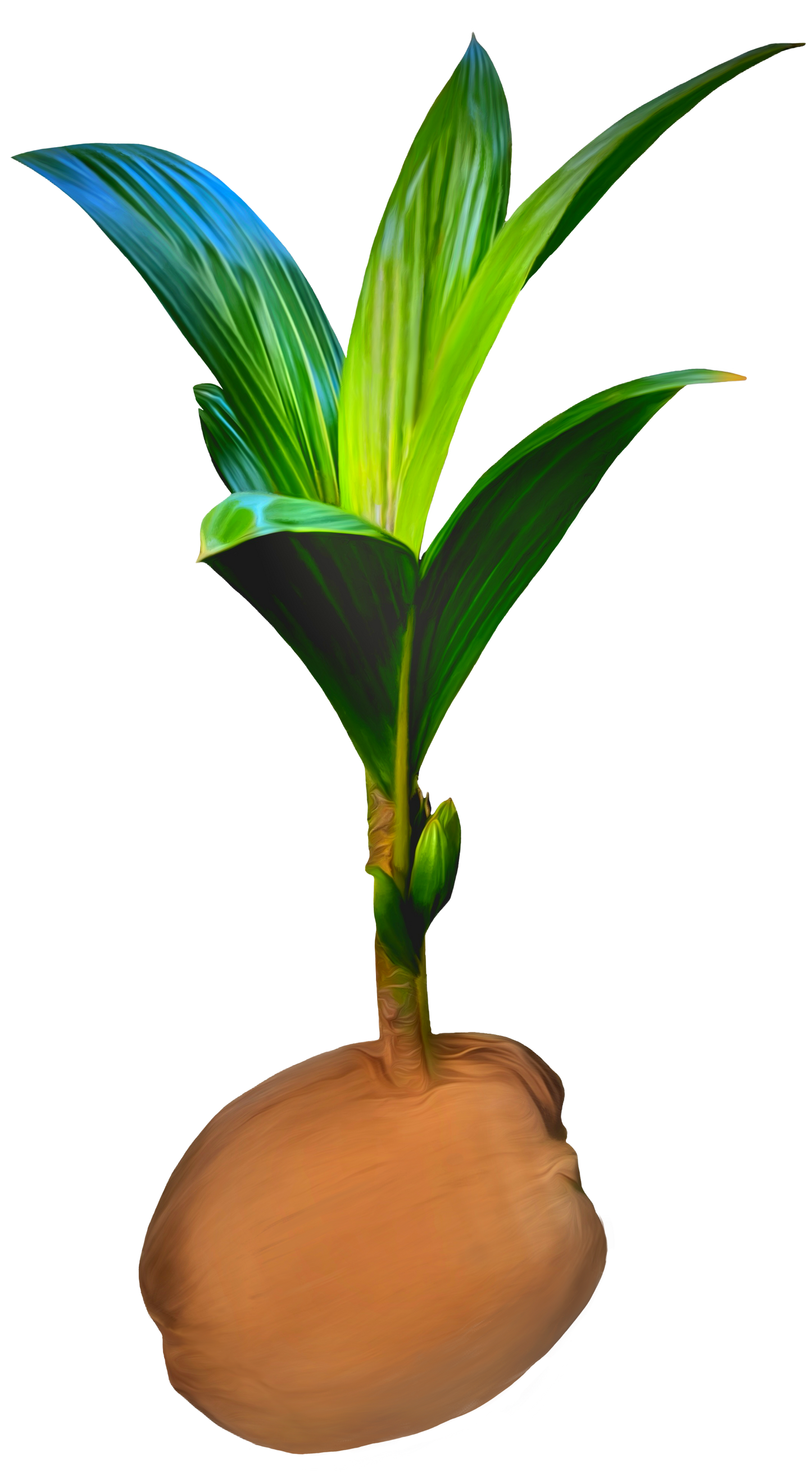 Sprout Sticker